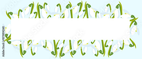 Spring floral frame with delicate white snowdrops forming decorative border around empty white space, elegant nature banner for greeting cards, invitations and sale promotions