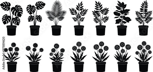 Indoor potted plants silhouettes set, houseplants foliage collection, tropical leaves flowers pots, black botanical vector illustration icons
