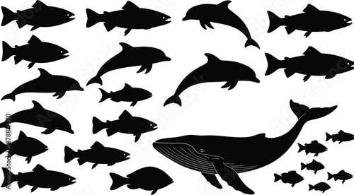 Marine animal silhouettes collection, fish dolphin whale shapes set, ocean wildlife icons, black aquatic animals isolated on white background