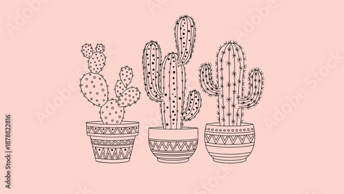 Hand-drawn line art illustration of three different types of cacti in decorated pots with geometric patterns on a pink background.