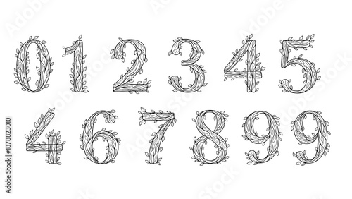 Hand-drawn set of rustic numbers from zero to nine, designed as wooden branches with delicate leaves for a unique floral numeral font.
