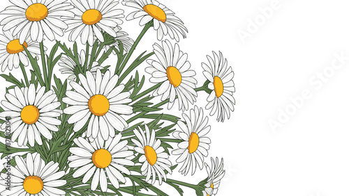 Beautiful bouquet of hand-drawn white and yellow daisies on the left side, providing ample copy space on a clean white background for text.