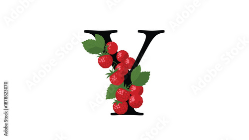 Beautiful decorative letter Y from a fruit alphabet, elegantly adorned with fresh red raspberries and vibrant green leaves.