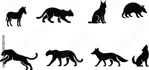 Vactor file in varities animals