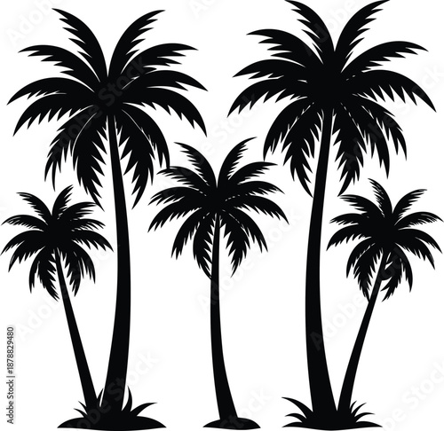 A collection of elegant black palm tree silhouettes standing against a pure white background