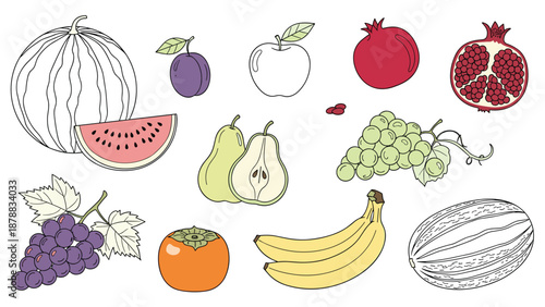 Collection of hand-drawn fresh fruits, including watermelon, apple, grapes, and banana, shown in both color and line art styles for healthy eating concepts.