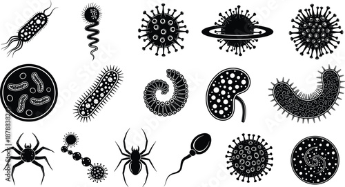 Black microorganism and virus silhouette collection featuring bacteria, germs, parasites, and microbes for medical, science, biology, and health education vector design use