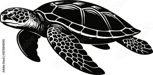 Silhouette of a Sea Turtle Swimming