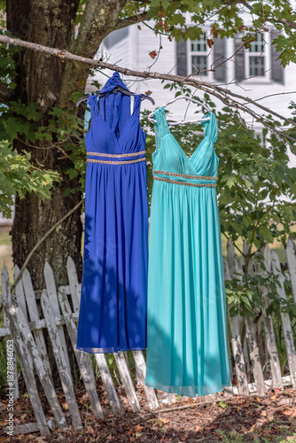Blue and Turquoise Bridesmaid Dresses Hanging from a Tree