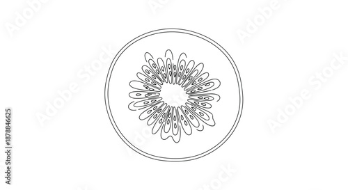 Minimalist black and white line art illustration of a kiwi fruit slice, showcasing its distinctive internal pattern and tiny seeds.
