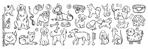 Dog doodle icon set, hand drawn vector cute pet illustration, different breeds animal collection. Veterinary grooming vignetting prints, happy domestic friends shop decorative design. Dog puppy doodle