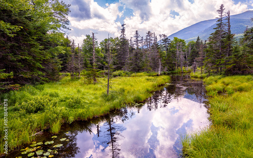 Sky Reflections in a New England Marsh