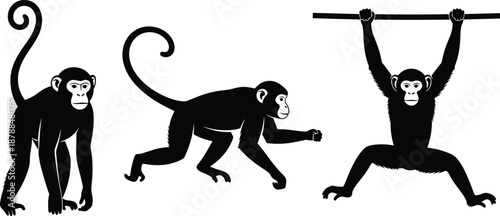 Monkey silhouette, animal movement, jungle scene, black illustration, hanging monkey, walking pose, wildlife behavior, tree branch, playful primates, dynamic posture, nature concept