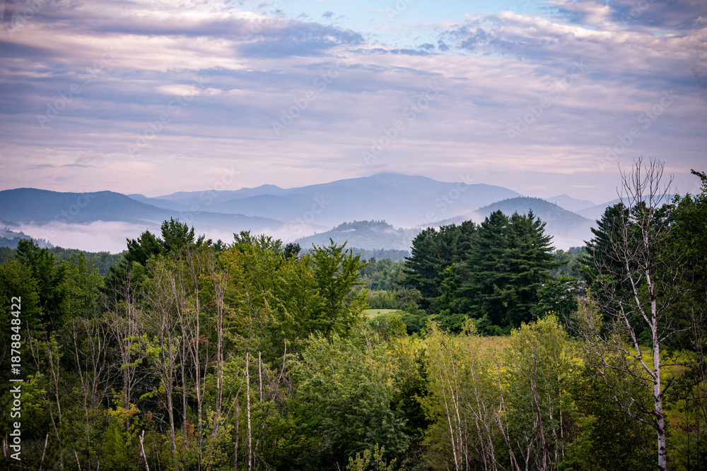 Obraz premium Misty Mountains Beyond the Forest