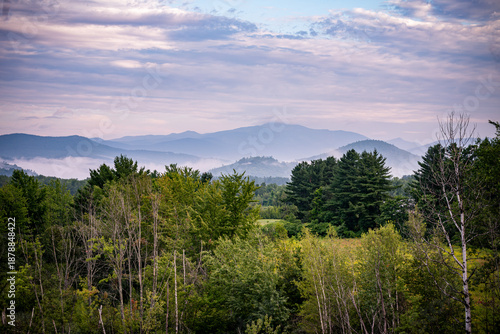 Misty Mountains Beyond the Forest