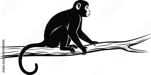 Monkey silhouette, tree branch, black illustration, nature pose, stylized animal, curled tail, wildlife art, forest scene, profile view, simple design, calm