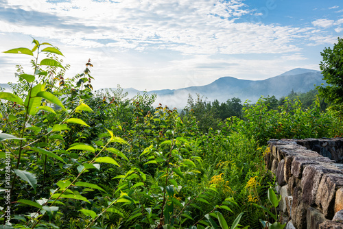 Long Range Mountains in the Mist with Trees and Stonewall in the Foreground