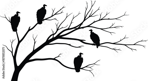 Vulture silhouette, dead tree, eerie wildlife, scavenger birds, nature decay, black illustration, dramatic contrast, predator perch, forest scene, symbolic composition, dark mood