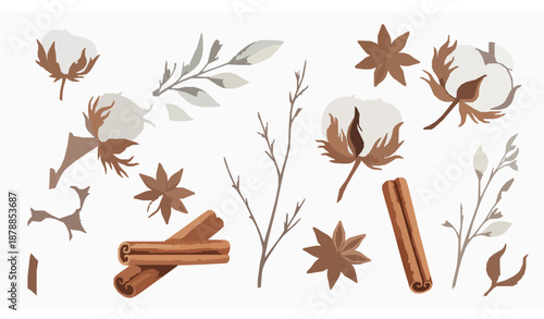 Watercolor cotton flowers and spices botanical vector set