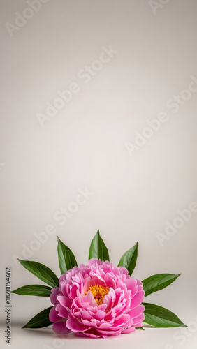 Vertical Floral Banner with Single Flower at Bottom of Frame – Large Empty Space Above for Text, Neutral Soft Background, Clean Studio Lighting, Minimal Advertising Composition
