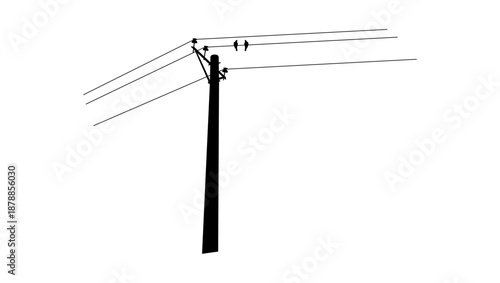 Birds on electric wires ,black isolated silhouette