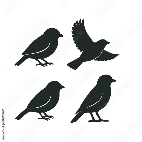 Set of Sparrow Bird Silhouettes in Various Poses