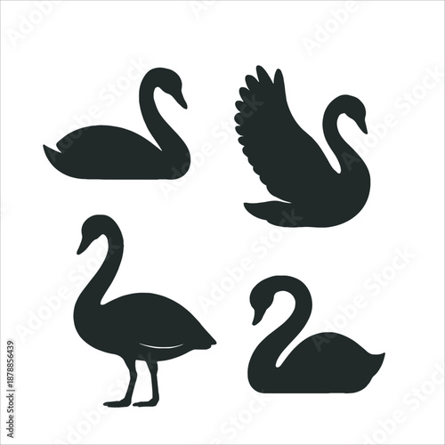 Elegant Black Swan Silhouettes Collection