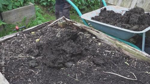 farmer putting manure with pitchfork in the soil to grow vegetables in vegetable garden