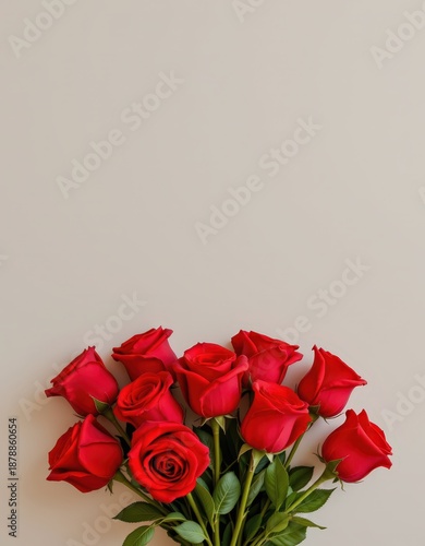 Minimalist Valentine's Day: Red Roses on a Neutral Background with Copy Space for Romantic Messages