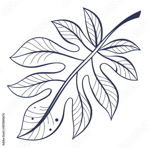 Stylized leaf illustration