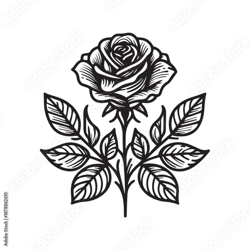 Symmetrical rose flower illustration with lush leaves vector woodcut style botanical motif