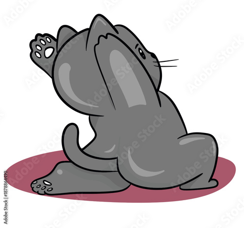 Funny grey cat practicing yoga on mat