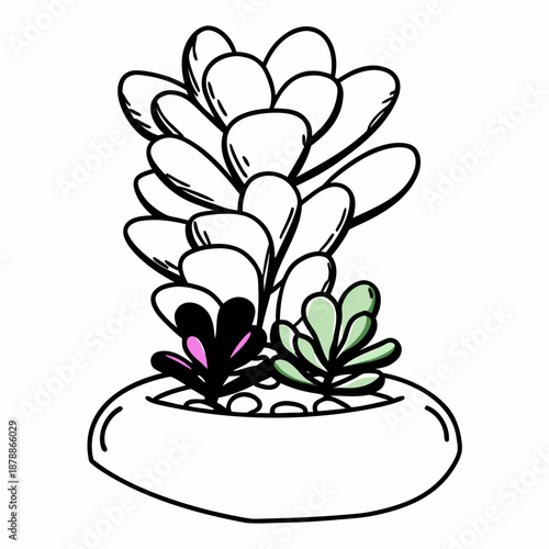 Illustrated succulent plant in pot