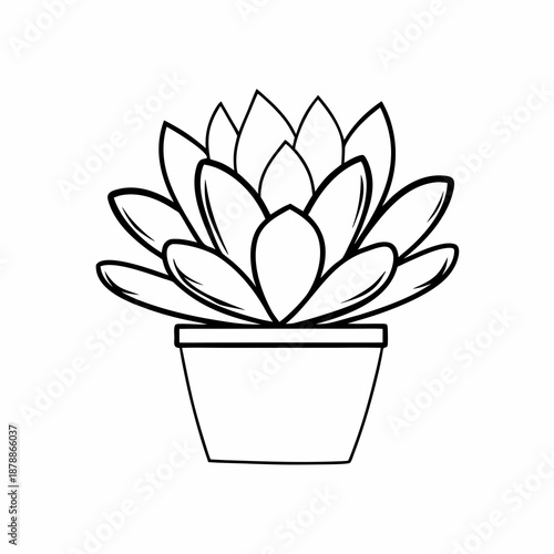 Line art of a potted succulent plant
