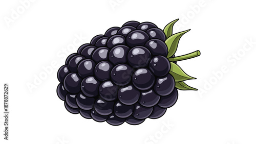 A detailed illustration of a single, ripe blackberry with its characteristic segmented surface and a green stem, set against a white background.