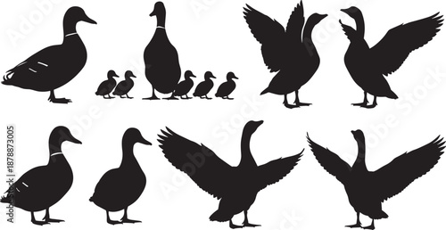 Black silhouettes of ducks and ducklings in various poses including swimming standing and flapping wings isolated on white background for nature and farm designs