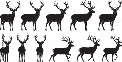 Black silhouettes of male deer and stags with large antlers in various standing and walking poses isolated on white background for nature wildlife hunting designs