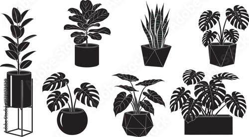 Black silhouettes of various indoor houseplants in modern pots including monstera and fiddle leaf fig isolated on white background for interior design and greenery