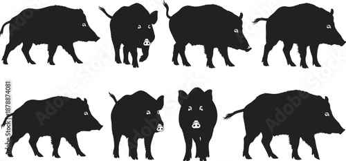 Black silhouettes of wild boars and hogs in various walking and standing poses isolated on white background for nature wildlife hunting and forest designs