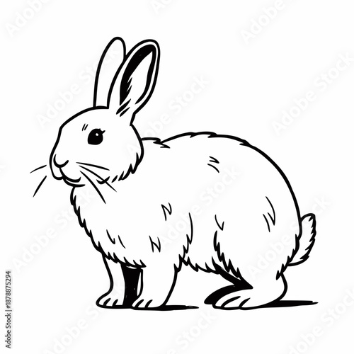 Illustration of a rabbit