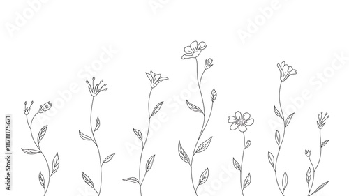 Minimalist Scattered Wildflowers Line Art | Simple Botanical Nature Illustration