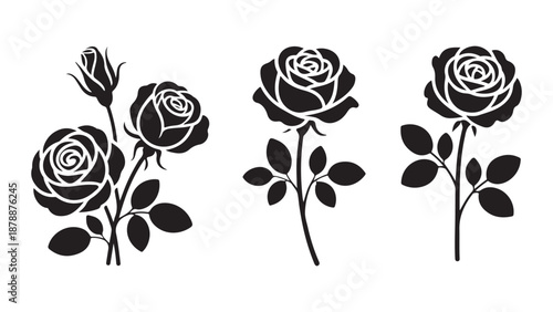Set of line art rose illustrations contrasting detailed white petals against dark solid silhouettes