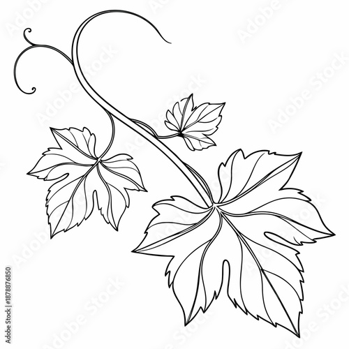 Line art of leaves
