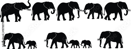 elephant silhouettes set, walking adult and baby elephants poses, wildlife animal family concept, isolated black vector illustration
