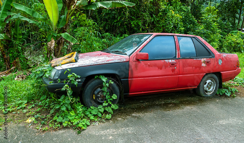 A passenger car is forgotten in the rainforest, rusting and overgrown with climbing bloom plants. Nature takes its toll back