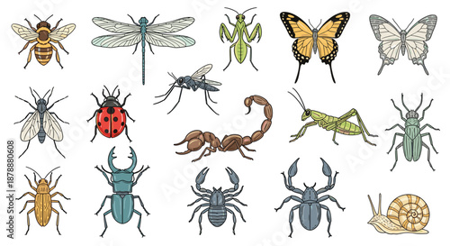 Large collection of diverse insect species including bees, butterflies, beetles, a scorpion, dragonfly, and a snail on a white background.