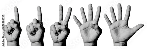 Demonstrating numbers one through five with human hands in a sequential black and white display