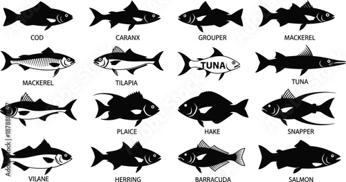 Black fish silhouette icons set with tuna salmon cod mackerel tilapia and grouper isolated on white background for seafood restaurant menu and fishing infographics