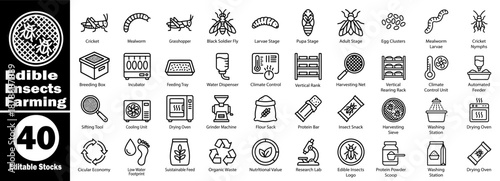 Edible insects farming equipment and farming process line icons Vector Illustrator.