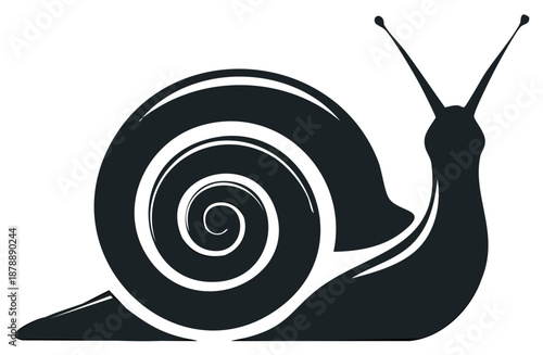 Simple black and white silhouette of a snail with curled shell and antennae, animal, vector.